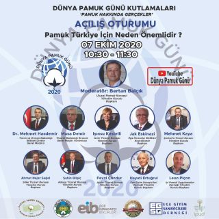 Pamuk Beyaz Altin Oldugu Gunlerin Ozlemini Duyuyor Ekonomi Egemenlik