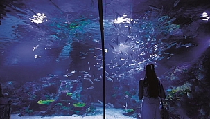 Funtastic Aquarium İzmir Westpark Outlet’te yeniden ziyarete açıldı!