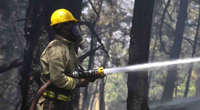 Afrika sıcakları başladı, orman yangınlarına dikkat