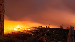 Bir yandan korona bir yandan alevler!