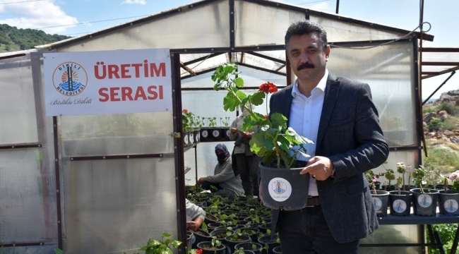 Dikili Belediyesi'nden vatandaşa 20 bin fide