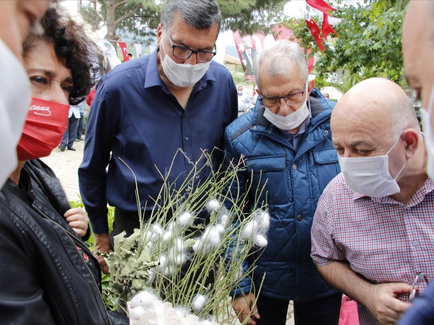 Ödemiş'in ipekböcekçiliği projesinde hasat zamanı