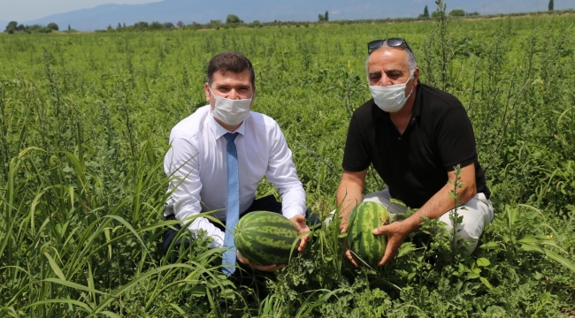 Dikkat! Adana değil, Edremit!