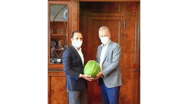 Karpuz yiyin, serinleyin
