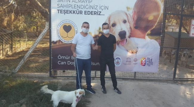 Can dostlarını sahiplenenler çoğalıyor
