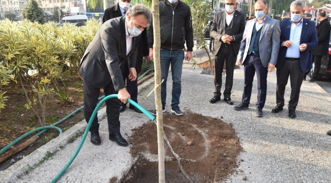 Daha yeşil bir Bornova 2 yılda 16 bin fidan
