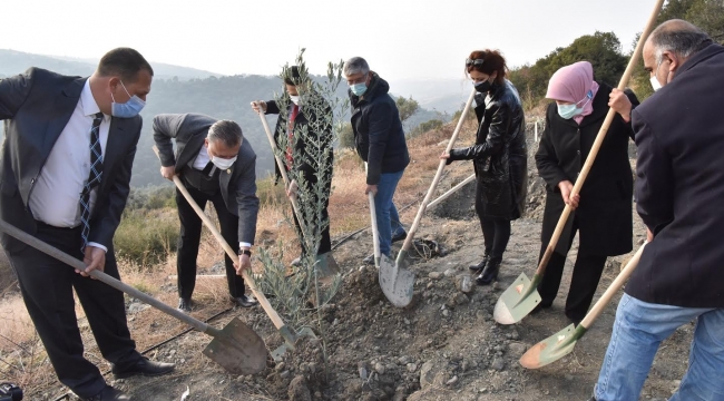 (Foto Galerili Haber) 800 zeytin fidanı daha toprakla buluştu