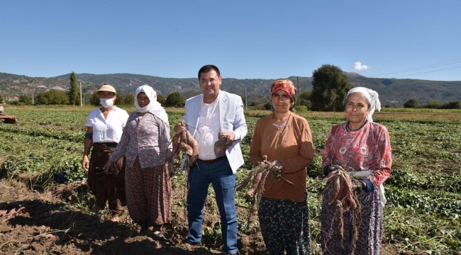 Milas, bölgenin parlayan yıldızı olacak
