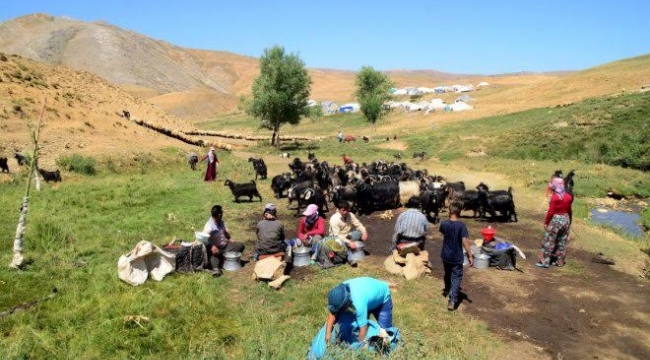 TİGEM’in Ceylanpınar arazisinde 40 yıllık işgal