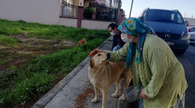 (Foto Galerili Haber) Sokak hayvanları için 100 ton mama