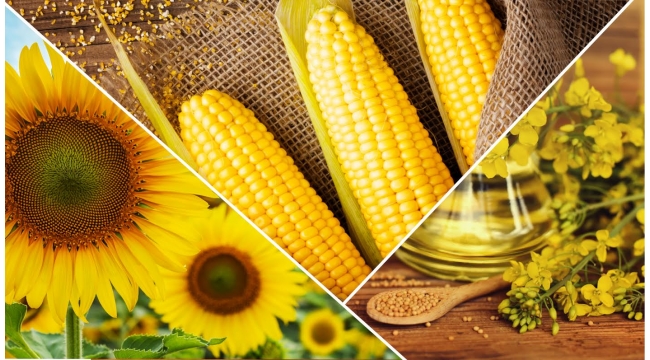 1000 Çiftçi 1000 Bereket programı ile çiftçilerin verimi yüzde 26’ya varan oranda arttı