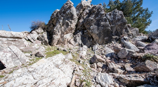 (Foto Galerili Haber) İzmir’de antik taş ocağı bulundu
