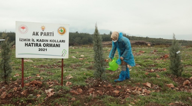 AK Kadın İzmir'den Orman Haftası'nda fidan dikimi 600 fidan toprakla buluştu