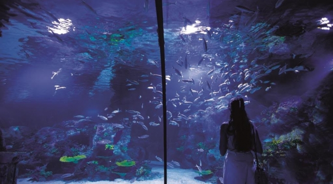 (Foto Galerili Haber) Funtastic Aquarium İzmir Westpark Outlet’te yeniden ziyarete açıldı!