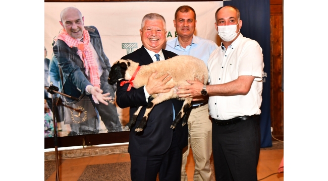 (Foto Galerili Haber) İzmir Büyükşehir Belediyesi’nin dağıttığı küçükbaş hayvan sayısı 12 bine ulaştı