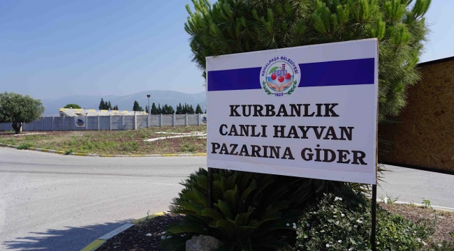 (Foto Galerili Haber) KEMALPAŞA KURBAN BAYRAMINA HAZIR