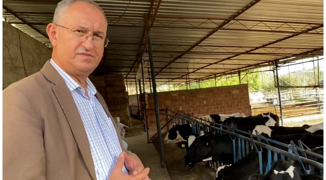CHP'li Sertel: Üretici su fiyatına süt satıyor