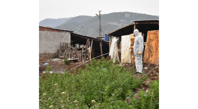 Kemalpaşa'da larva ile mücadele sürüyor