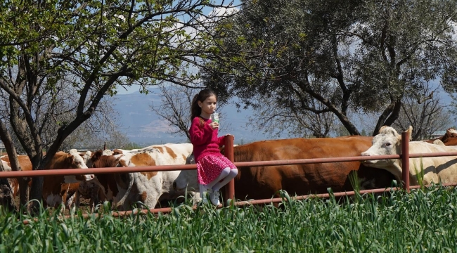 Pınar Süt, 2021’de yüzde 32,2 büyüyerek 2,7 milyar TL ciroya ulaştı