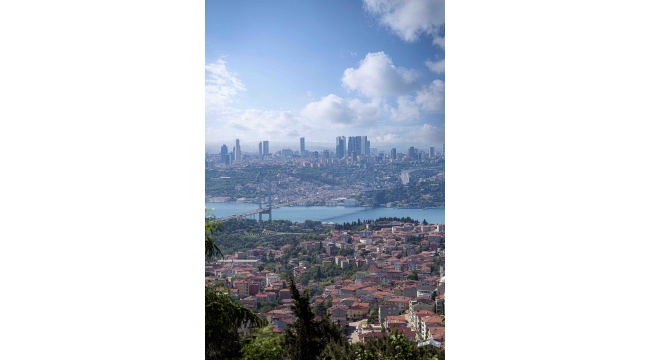 Cushman & Wakefield