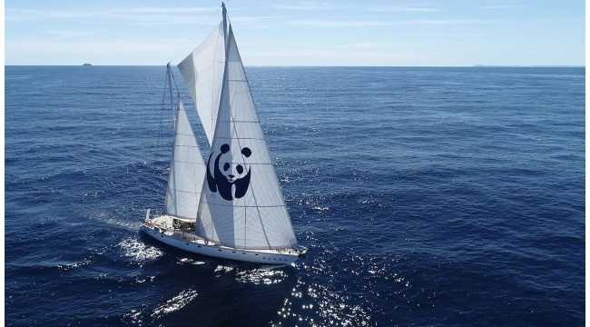 Blue Panda Türkiye'ye yelken açtı 