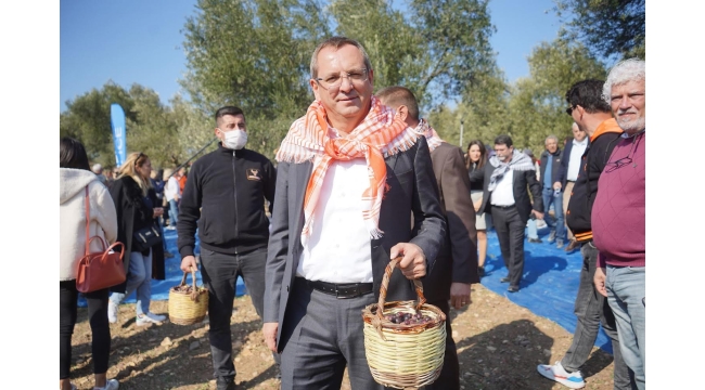 Ayvalık 17. Uluslararası Zeytin Hasat Festivali programı yine dopdolu
