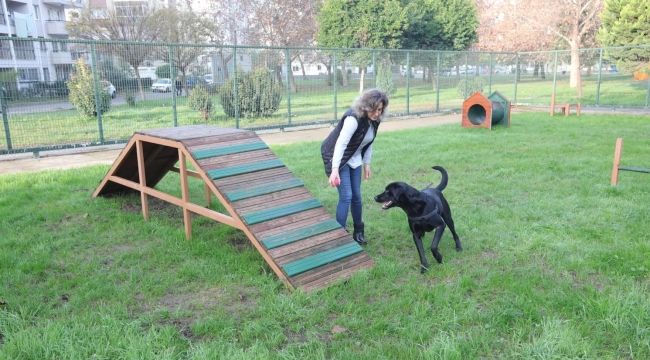 Bayraklı’da evcil hayvanlar için ‘Pati Park’