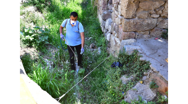 İzmir’de sivrisineklere karşı etkin mücadele