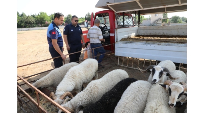 Menderes’te kurban denetimi