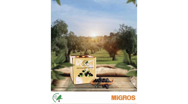 Migros ve Ege Orman Vakfı öncülüğünde zeytinler fidana dönüşüyor