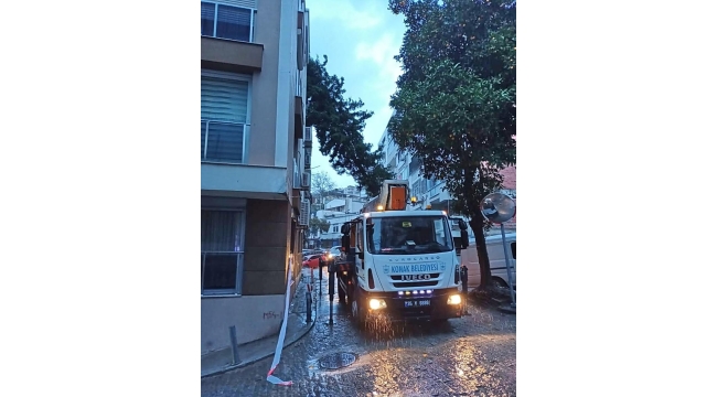 Fırtınada yıkılan ağaca müdahale