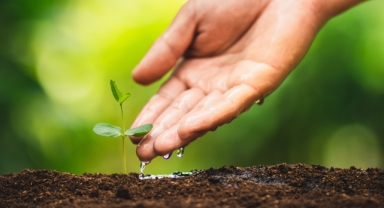 Pınar Su ve İçecek, 2030'a kadar karbon emisyonlarını yüzde 20 azaltacak