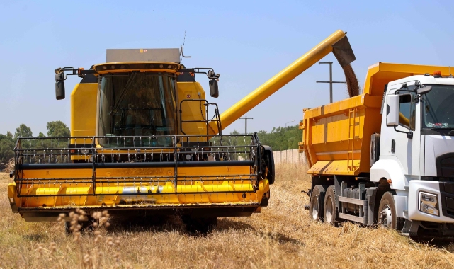 Buca’da ilk buğday hasadı