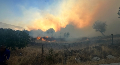 Dikili’de yangına müdahale sürüyor