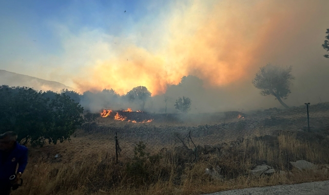 Dikili’de yangına müdahale sürüyor