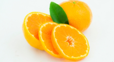 Narenciyede iklim felaketi