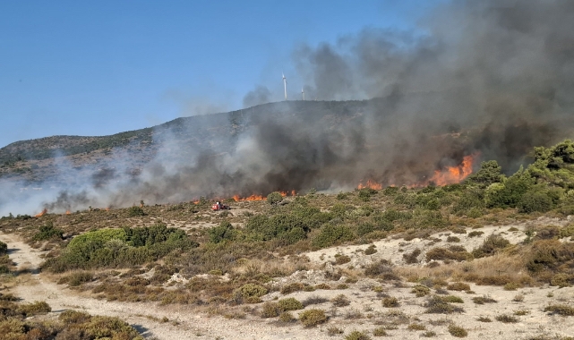 Urla'da yangın kontrol altına alındı