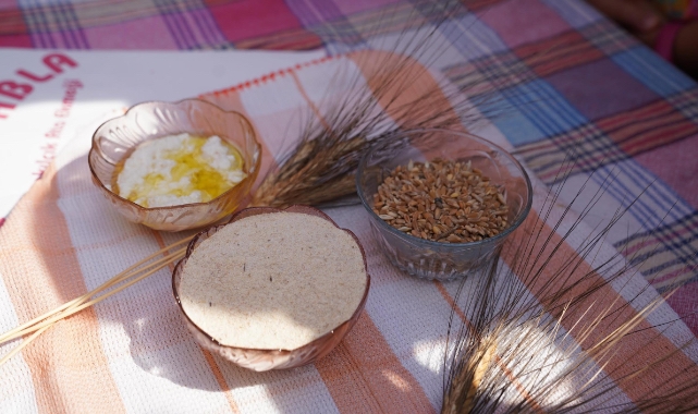 Seferihisar’da Ata Ekmeği ve Armola Şenliği