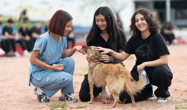 Hayvanlara kötü muamele son bulsun