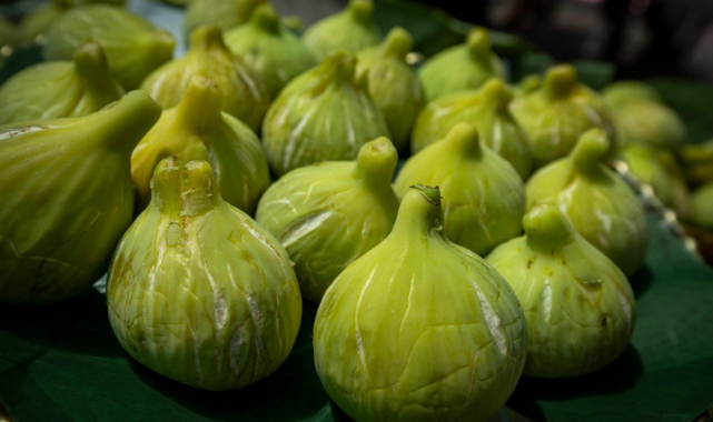 Beydağ incirinin değeri yükseliyor