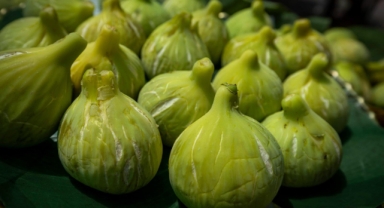 Beydağ incirinin değeri yükseliyor