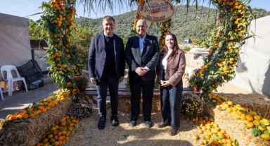 Mandalinanın başkentinde geleneksel festival heyecanı