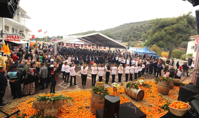 Menderes Mandalina Festivali ile şehrin coşkusu yeniden canlanıyor!
