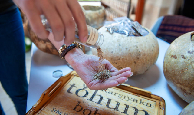 1 yılda 200 bini aşkın tohum paketi dağıtıldı