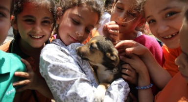 Can dostlara umut oldu: 1 yılda 40 bin destek