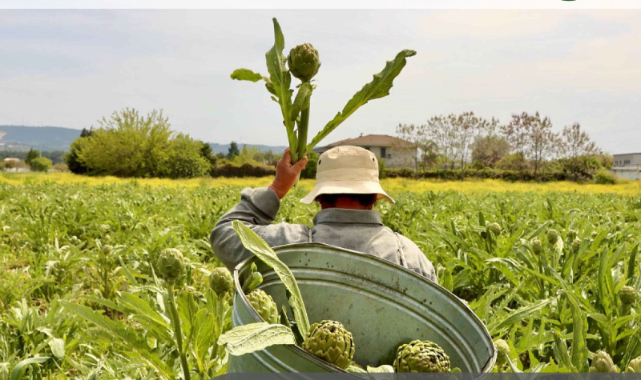 İzmir'in sürdürülebilir turizm üçlüsü, 'Halkın Seçimi' finalinde