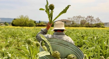 İzmir'in sürdürülebilir turizm üçlüsü, 'Halkın Seçimi' finalinde