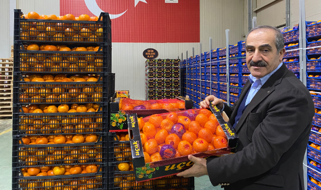 Mandalina ihracatı tarih yazıyor