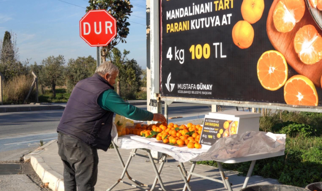 Mandalinanı tart, ücretini kutusuna at