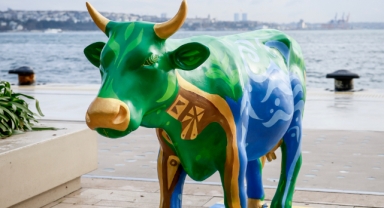 Sanatla buluşan mutlu inekler şehir sokaklarında